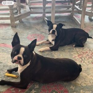 For live show only. A listing to run items for live shows.